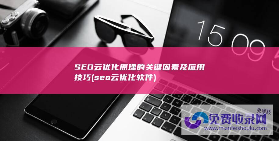 seo云优化软件