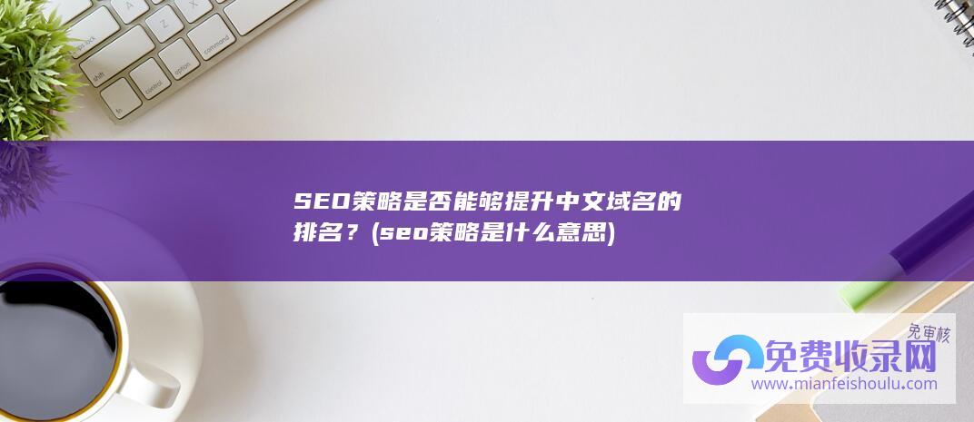 SEO策略是否能够提升中文域名的排名