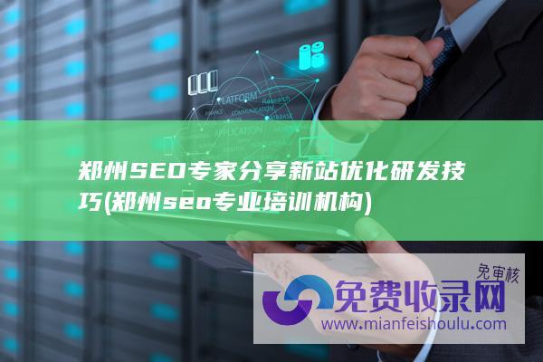 SEO专家分享新站优化研发