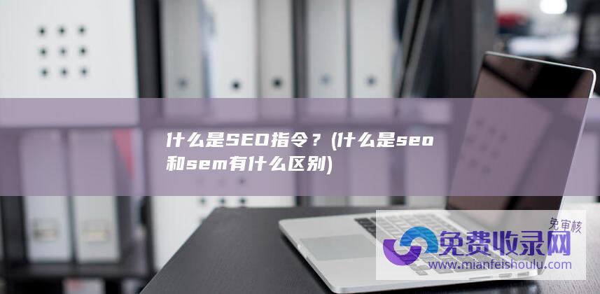 什么是SEO指令？ (什么是seo和sem有什么区别)