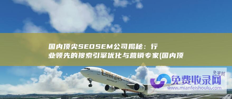 国内顶尖SEOSEM公司揭秘：行业领先的搜索引擎优化与营销专家 (国内顶尖设计公司)