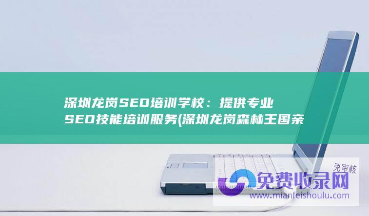 提供专业SEO技能服务