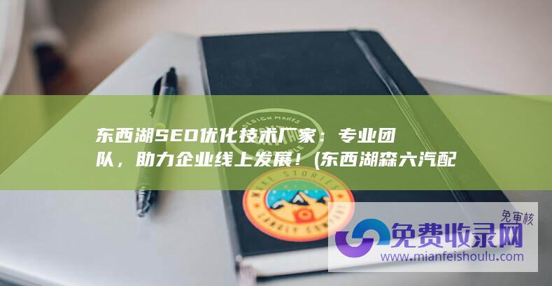 东西湖SEO优化技术厂家：专业团队，助力企业线上发展！ (东西湖森六汽配厂工资怎么样)