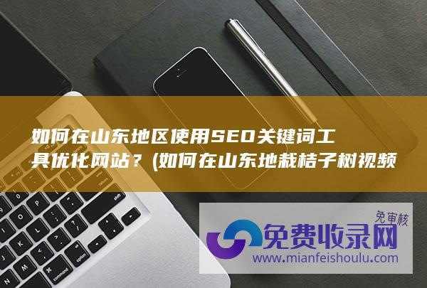 如何在山东地区使用SEO关键词工具优化网站？ (如何在山东地栽桔子树视频)