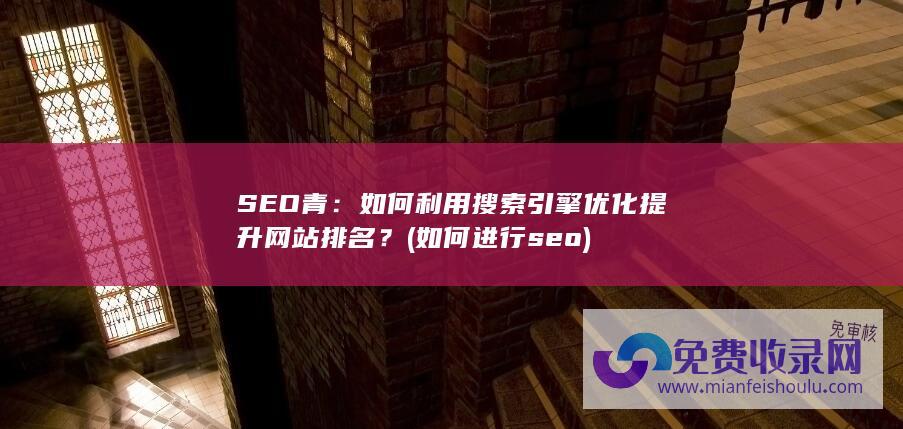 SEO青：如何利用搜索引擎优化提升网站排名？ (如何进行seo)