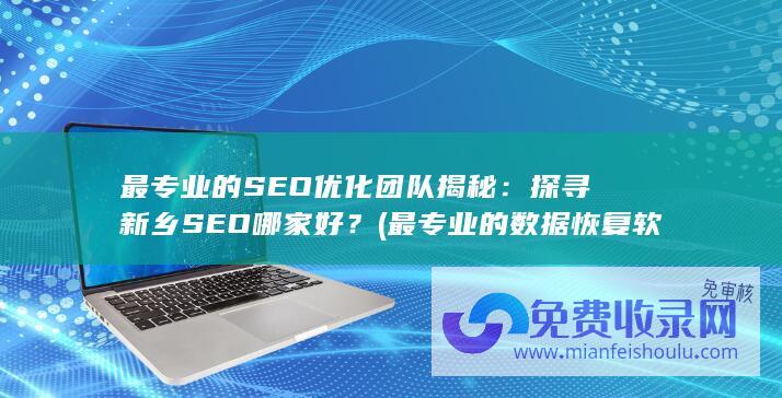 最专业的SEO优化团队揭秘：探寻新乡SEO哪家好？ (最专业的数据恢复软件)