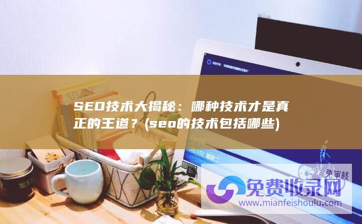 SEO技术大揭秘：哪种技术才是真正的王道？ (seo的技术包括哪些)