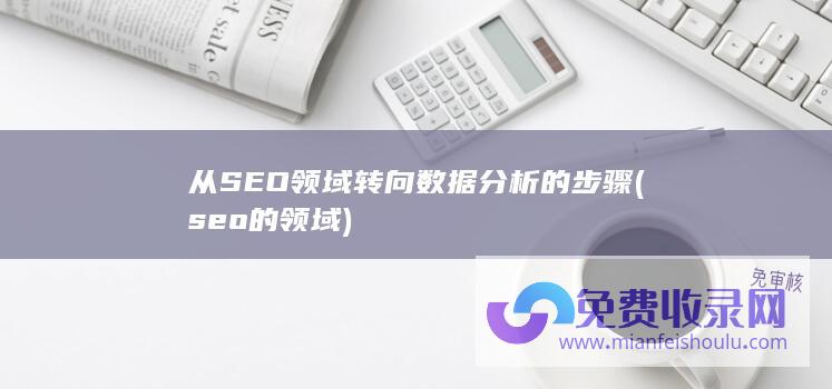 从SEO领域转向数据分析的步骤 (seo的领域)