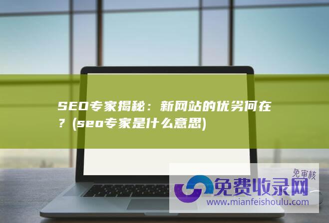 SEO专家揭秘：新网站的优劣何在？ (seo专家是什么意思)