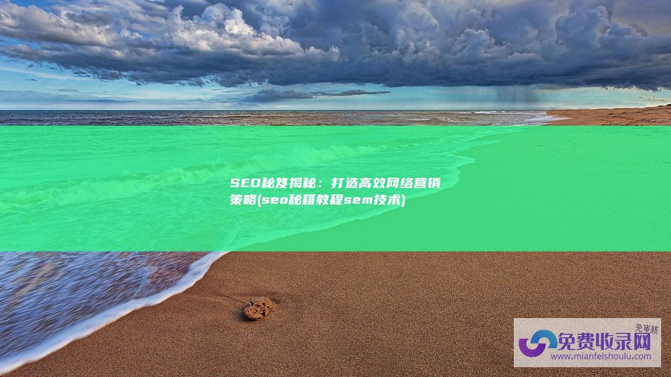 SEO秘笈揭秘：打造高效网络营销策略 (seo秘籍教程sem技术)