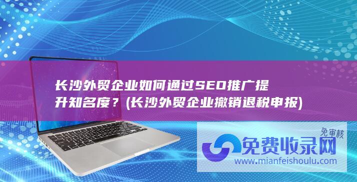 长沙外贸企业如何通过SEO推广提升知名度？ (长沙外贸企业撤销退税申报)