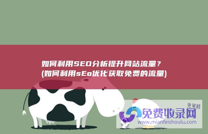 如何利用SEO分析提升