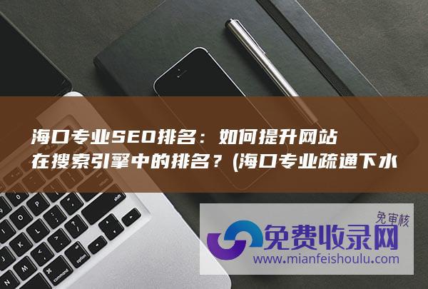 海口专业SEO排名：如何提升网站在搜索引擎中的排名？ (海口专业疏通下水管道电话)