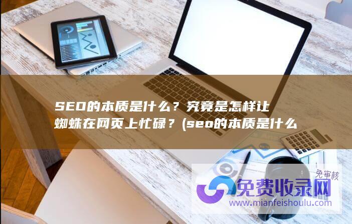 SEO的本质是什么？究竟是怎样让蜘蛛在网页上忙碌？ (seo的本质是什么)