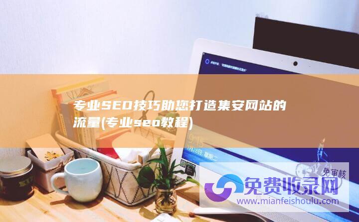 专业seo教程