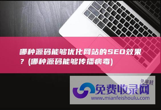 哪种源码能够优化网站的SEO