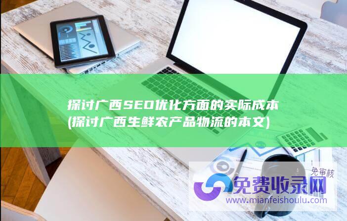 探讨广西SEO优化方面的实际成本