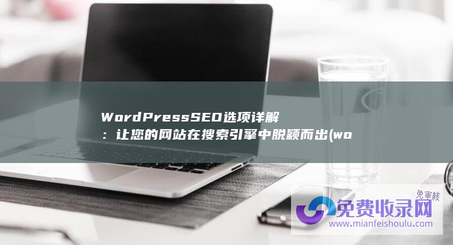 WordPress SEO选项详解：让您的网站在搜索引擎中脱颖而出 (wordpress自助建站)