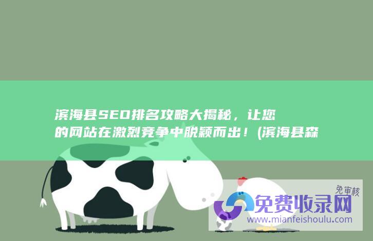 滨海县SEO排名攻略大揭秘，让您的网站在激烈竞争中脱颖而出！ (滨海县森发液化气有限公司)