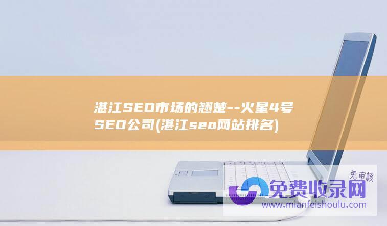 湛江seo网站排名