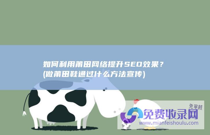 如何利用莆田网络提升SEO效果？ (做莆田鞋通过什么方法宣传)