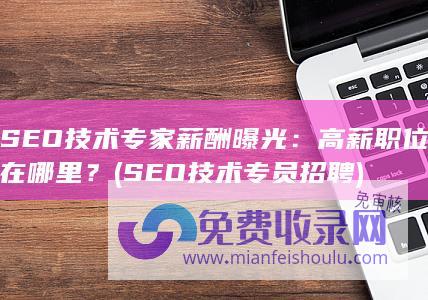 SEO技术专家薪酬曝光：高薪职位在哪里？ (SEO技术专员招聘)