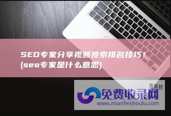 SEO专家分享视频搜索排名技巧！ (seo专家是什么意思)