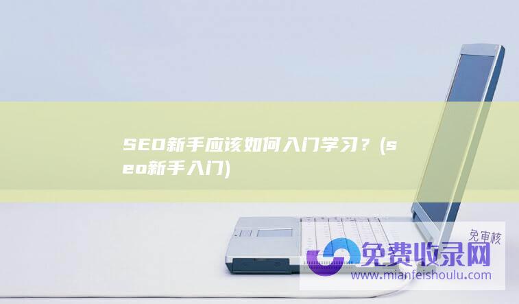 SEO新手应该如何入门学习？ (seo新手入门)