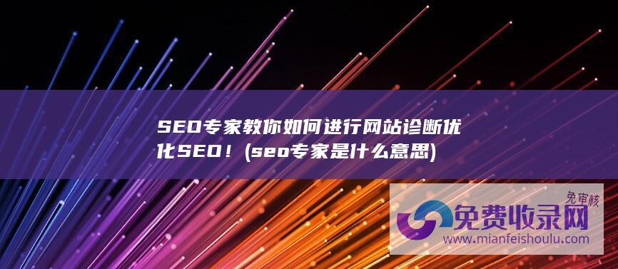 seo专家是什么意思