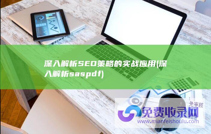 深入解析SEO策略的实战应用 (深入解析sas pdf)