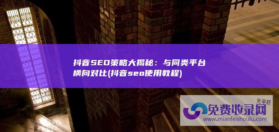 抖音SEO策略大揭秘：与同类平台横向对比 (抖音seo使用教程)