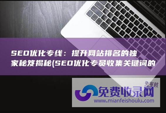 SEO优化专线：提升网站排名的独家秘笈揭秘 (SEO优化专员收集关键词的方法有哪些?)