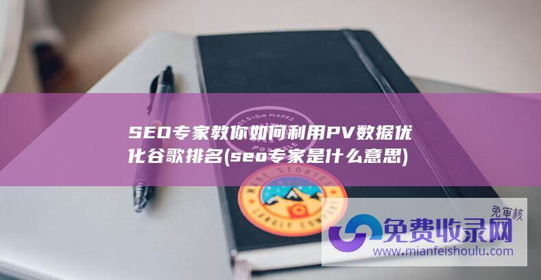 SEO专家教你如何利用PV数据优化谷歌排名 (seo专家是什么意思)