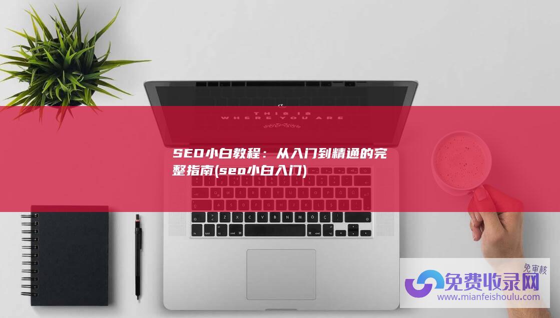 SEO小白教程：从入门到精通的完整指南 (seo小白入门)