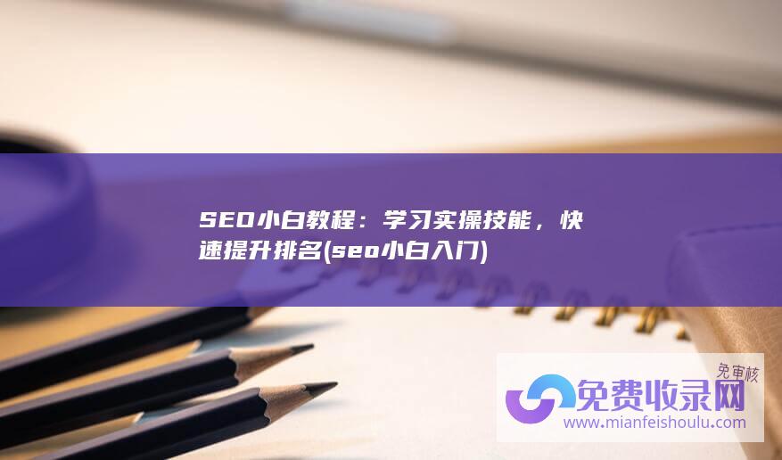 SEO小白教程：学习实操技能，快速提升排名 (seo小白入门)