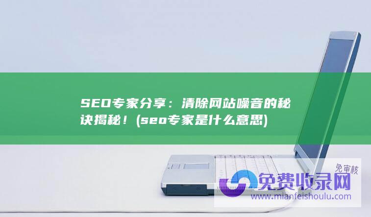 SEO专家分享：清除网站噪音的秘诀揭秘！ (seo专家是什么意思)