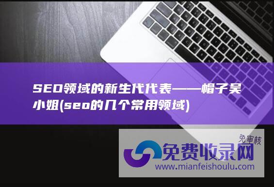 SEO领域的新生代代表——帽子吴小姐 (seo的几个常用领域)