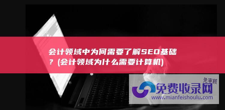 会计领域中为何需要了解SEO基础？ (会计领域为什么需要计算机)