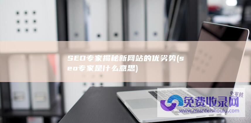 SEO专家揭秘新网站的优劣势