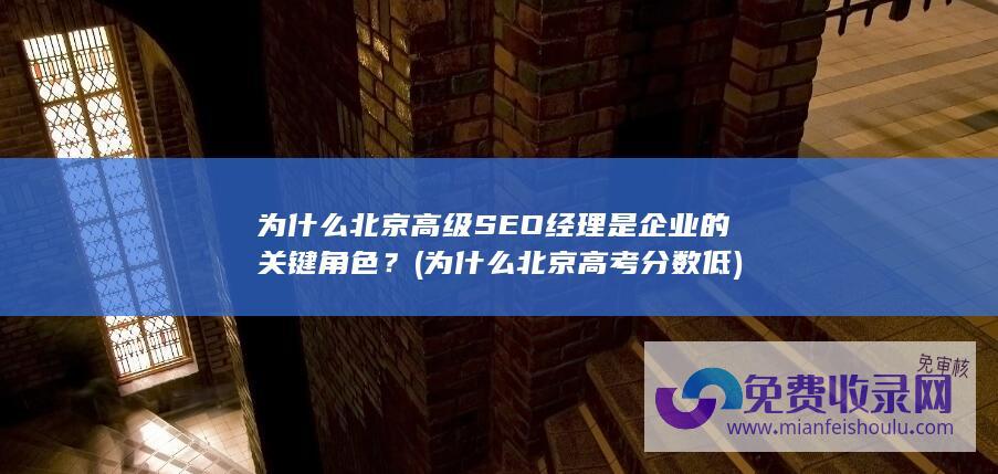 为什么北京高级SEO经理是企业的关键角色