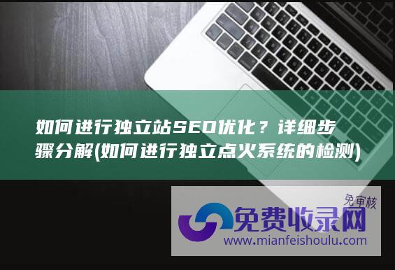 如何进行独立站SEO优化？详细步骤分解 (如何进行独立点火系统的检测)