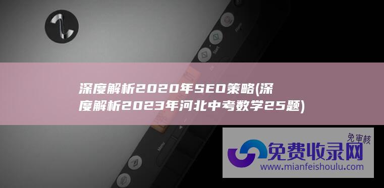 深度解析2020年SEO策略 (深度解析2023年河北中考数学25题)