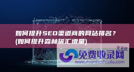 如何提升SEO渠道商的网站排名？ (如何提升森林碳汇增量)