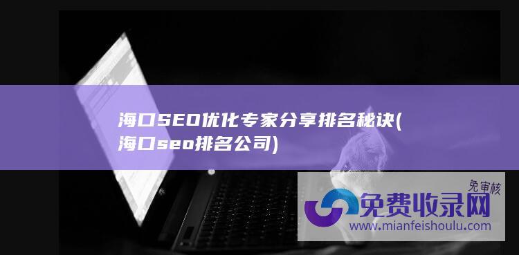 海口seo排名公司