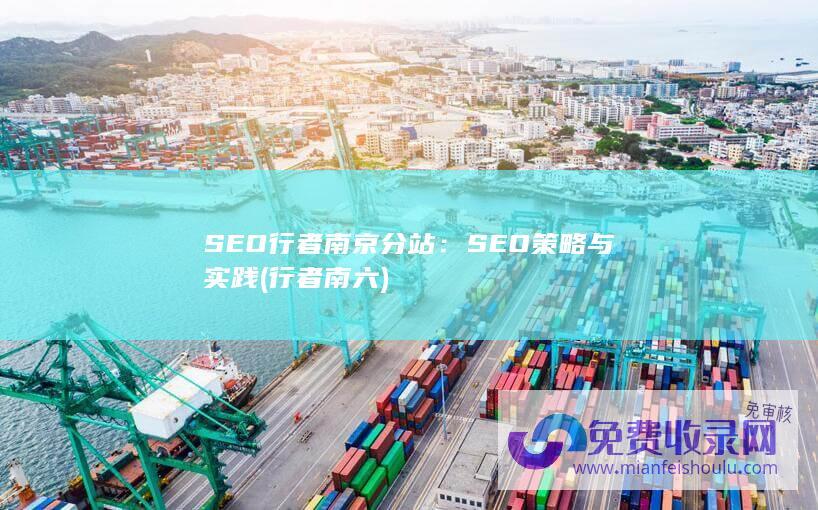 SEO行者南京分站：SEO策略与实践 (行者南六)