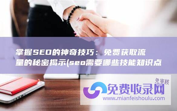 掌握SEO的神奇技巧：免费获取流量的秘密揭示 (seo需要哪些技能知识点)