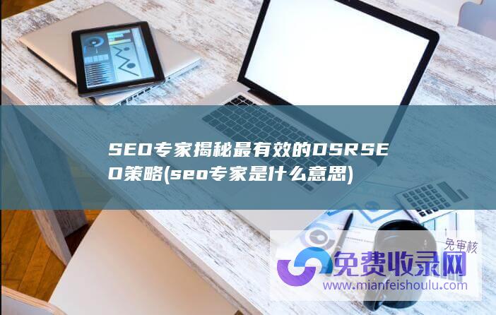 SEO专家揭秘最有效的DSRSEO策略