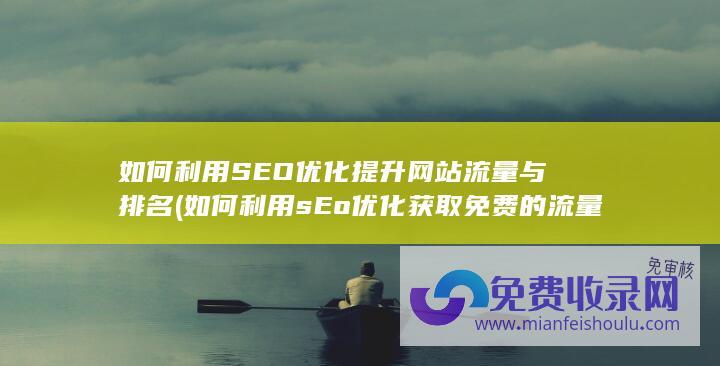 如何利用SEO优化提升网站流量与排名 (如何利用sEo优化获取免费的流量)