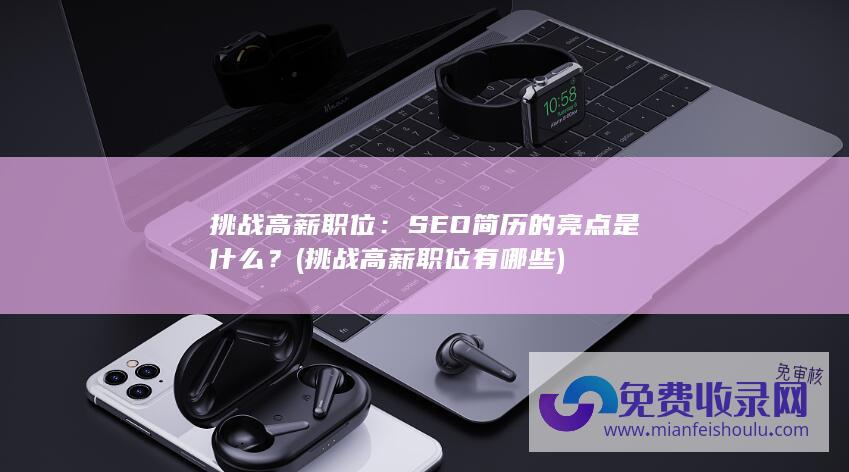 挑战高薪职位：SEO简历的亮点是什么？ (挑战高薪职位有哪些)