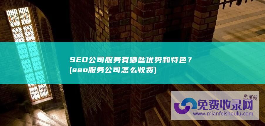 SEO公司服务有哪些优势和特色？ (seo服务公司怎么收费)